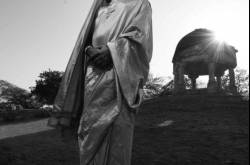 postcards from the past | stray style