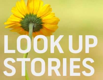 PWD, Help Us Reducing Our Weight Soon!