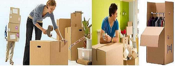 Packers And Movers: Packers And Movers In Noida