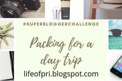 Packing for a day trip #SuperBloggerChallenge #Instacuppa
