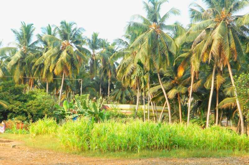 Page Not Found : Jeans Outlet Store - Buy Cheap Diesel,G-Star Sale Online Shop