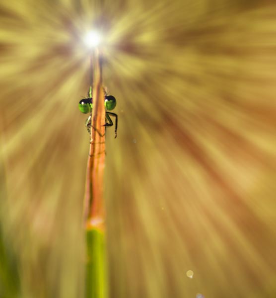 Page Not Found – Gibberish