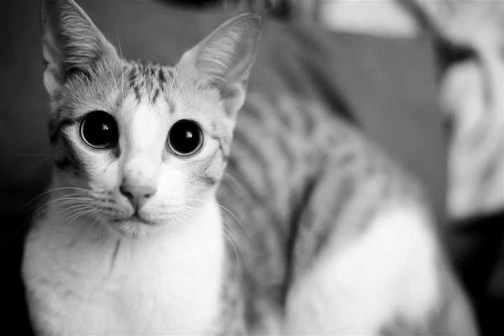 Page Not Found - Blawghh IT