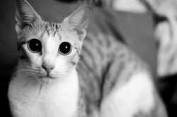 Page not found - Blawghh IT