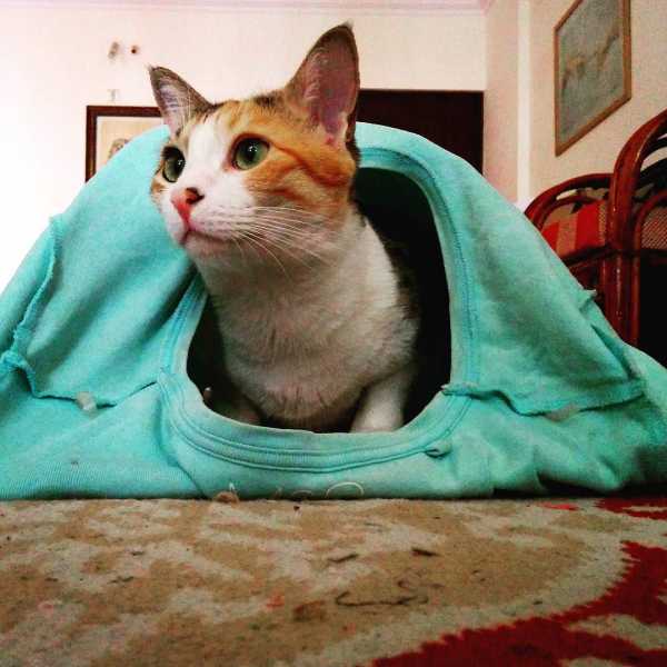 Page Not Found - Blawghh IT