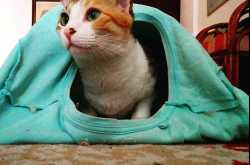 Page not found - Blawghh IT