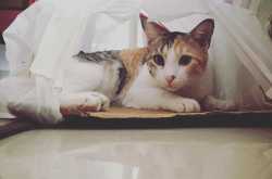 Page not found - Blawghh IT