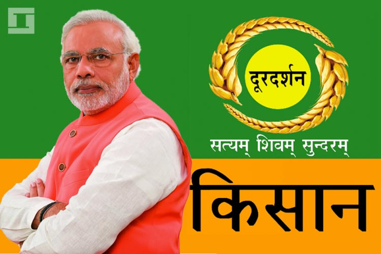 Page Not Found - GARDENING TIPS