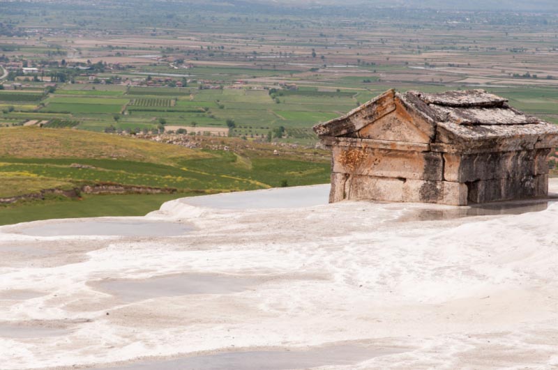 Page Not Found - Peacock Featherz