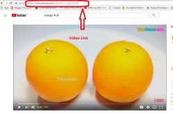 Page not found, Please Go to Home and Find more- Trick Solver Hindi