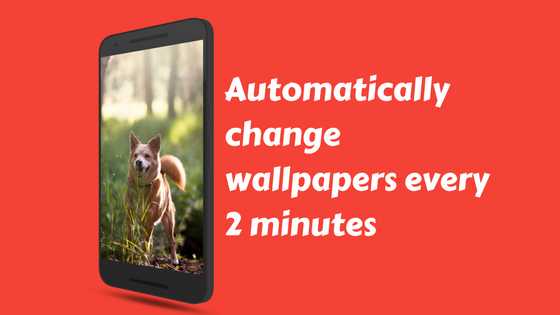 Page Not Found | THEMEFOXX