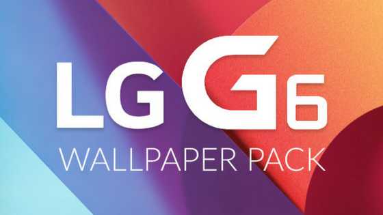 Page Not Found | THEMEFOXX