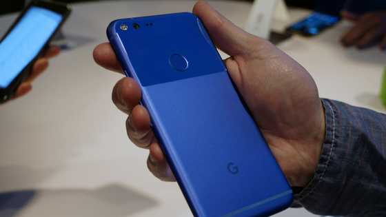 Page Not Found | THEMEFOXX