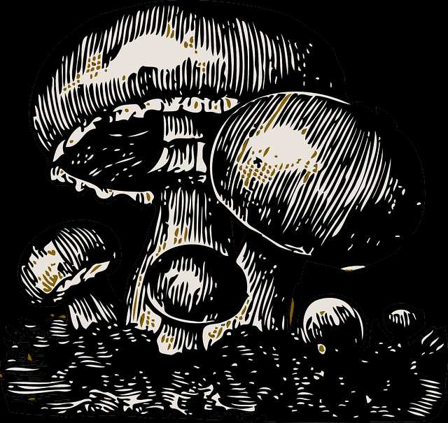 Paging And Sorting Using Spring Boot