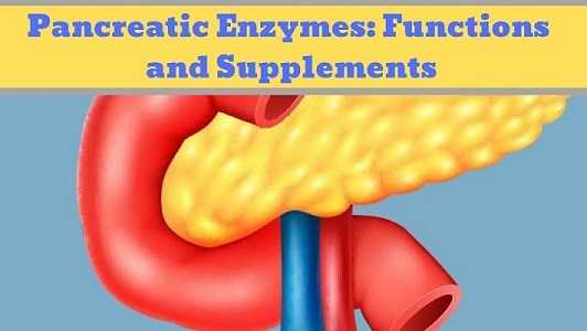 Pancreatic Enzymes: Function, Deficiency And Supplements - Gyan Share