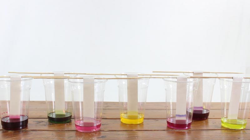 Paper Chromatography - Chemistry Experiment With Colors