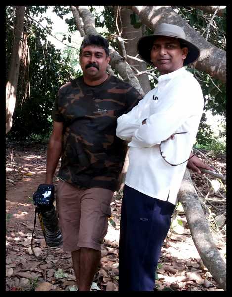 Pappilai Amman - The Deity Distinct