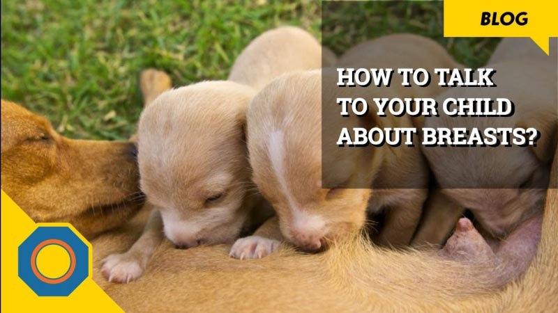 Parents: How To Talk To Your Child About Breasts? | NutSpace