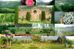 Parimahal & Royal Botanical Garden: Odyssey to Paradise on Earth (Part 4) 