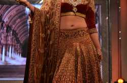 Parineeti Chopra Bridal Bollywood Replica Lehenga Choli