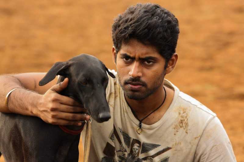 Pariyerum Perumal: Blue Is The Warmest Colour