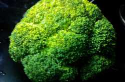 Pasta with Broccoli - Just 10 Minutes!