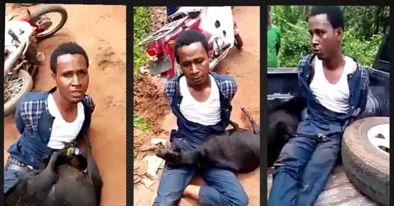 Pastor Caught Stealing Goat, Got Public Disgrace In Anambra State (video/photos)