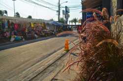 Pattaya - More than walking street, Street Food