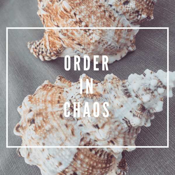 Patterns: Order In Chaos #writebravely #writetribeproblogger - Chaotic Paperback