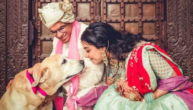 Pawfect Ways To Make Your Wedding Even More Special With Your Pets!