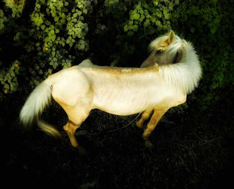 Peace: Street Photography Series By Nayeem Siddiquee - 121Clicks.com