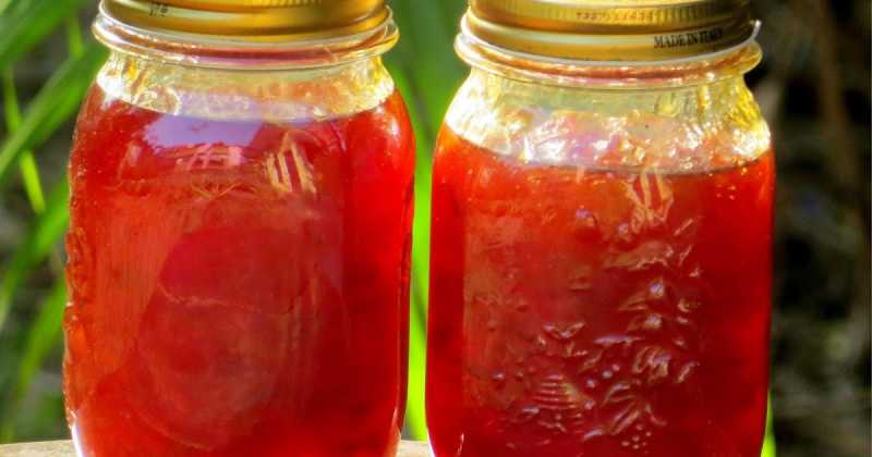 Peach Preserve | Himalayan Peach Preserve