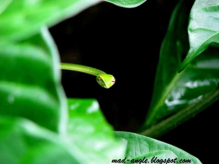 Peek-a-boo. So Much Like Me These Days.