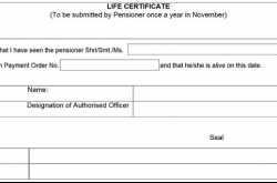 Pensioners can submit life certificate in physical form or digitally in pension paying bank