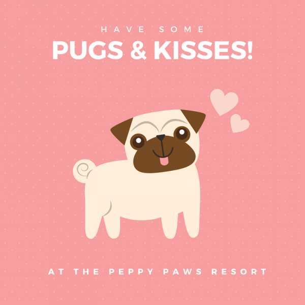 Peppy Paws- A Premier Resort In Pune For Dogs And Cats - LUXE LUSTRE