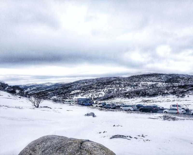 Perfect Broccoli And Gorgeous Spread Of White Messiness | Life