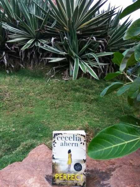 Perfect By Cecelia Ahern Review - The Enchanting World Of Books