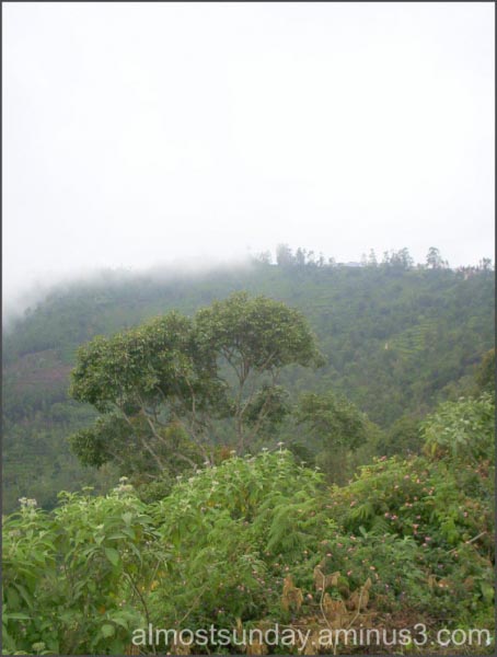 Perfect Empty Canvas