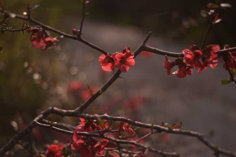 Perfection #AuthorToolboxBlogHop ~ Kalpanaawrites