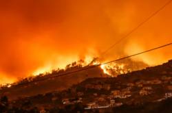 Performance Artist Burns 10,000 trees to bring attention to plight of Rivers in India - Farzinews