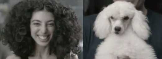 Personalised Dog From Vodafone