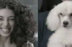 Personalised dog from Vodafone