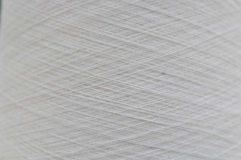 Perspectives On Working Remotely At Rang De