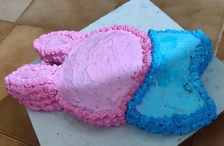 Peter Rabbit Cake | Whole Wheat Rabbit Cake For Kids Birthday | Eggless Birthday Cake - Nams Corner