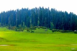 Petrichor; the essence of First Love