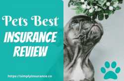 Pets Best Insurance Review 2018 (Your Pets\
