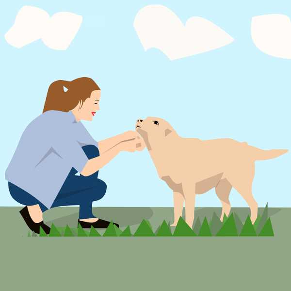 Pets Therapy |Benefits Of Having A Pet | Lynnai STYLE