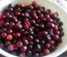Phalsa Sharbat