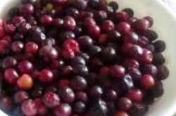 Phalsa sharbat