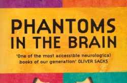Phantoms In The Brain